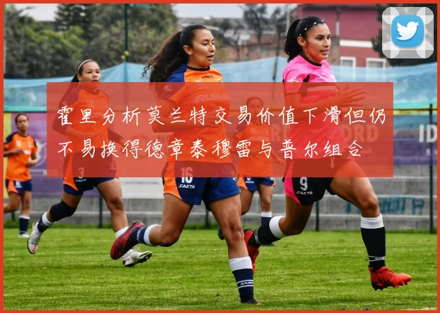 霍里分析莫兰特交易价值下滑但仍不易换得德章泰穆雷与普尔组合