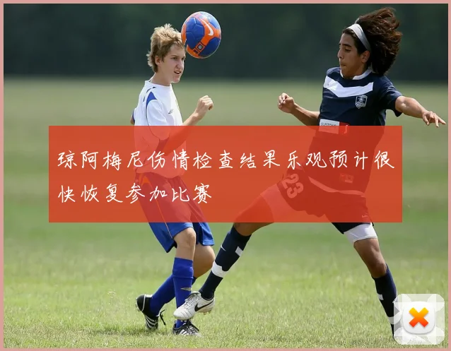 琼阿梅尼伤情检查结果乐观预计很快恢复参加比赛
